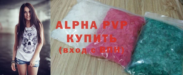 индика Абаза
