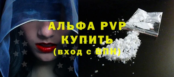 индика Абаза