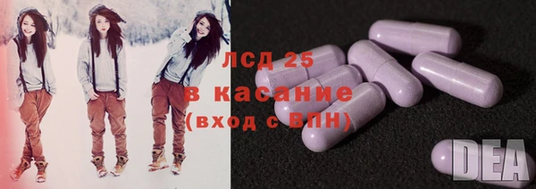 индика Абаза
