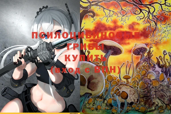спайс Абдулино