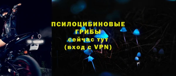 спайс Абдулино