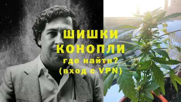 индика Абаза