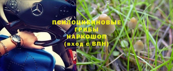индика Абаза