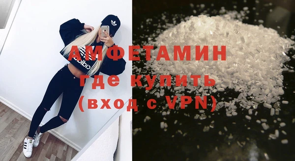 индика Абаза