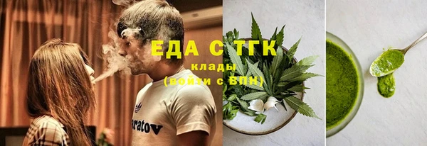 индика Абаза